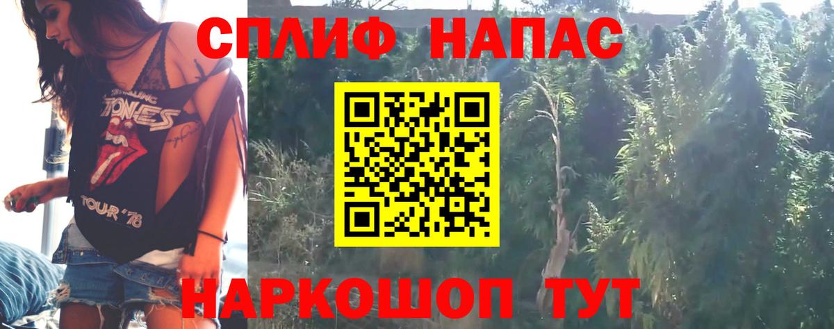 Конопля конопля Тара
